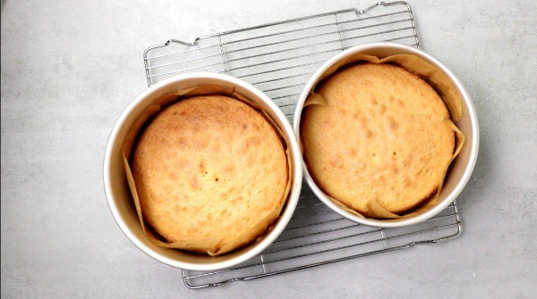 coconut cake in cake pan