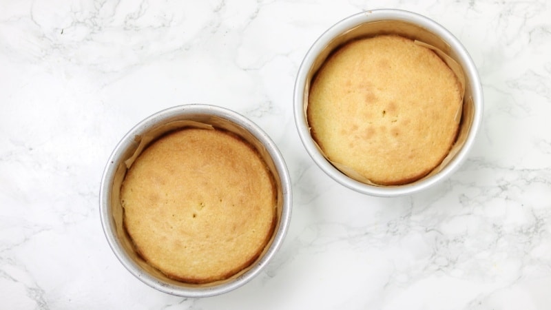baked victoria sponge cakes in pans