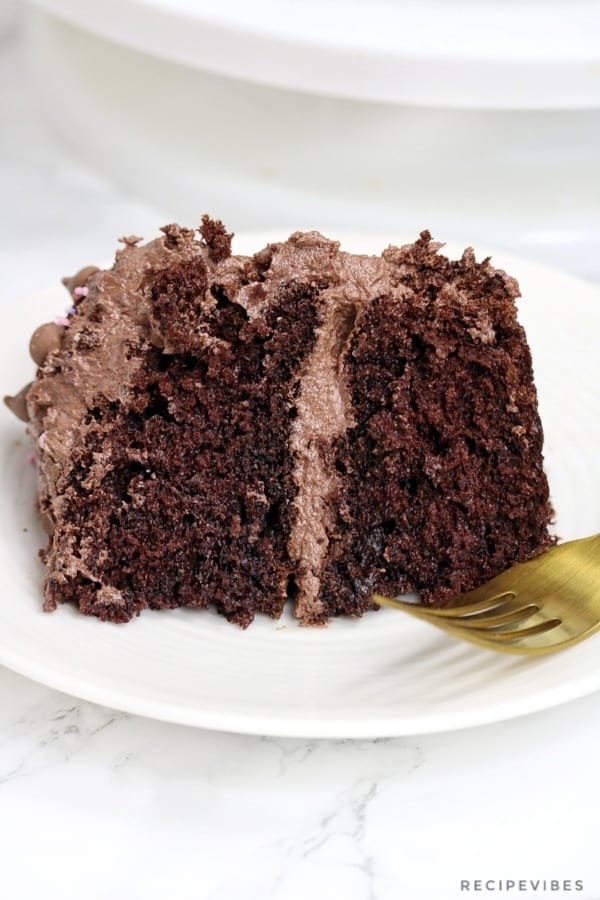 Moist chocolate cake picture.