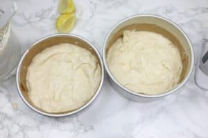 batter poured into two cake pans.