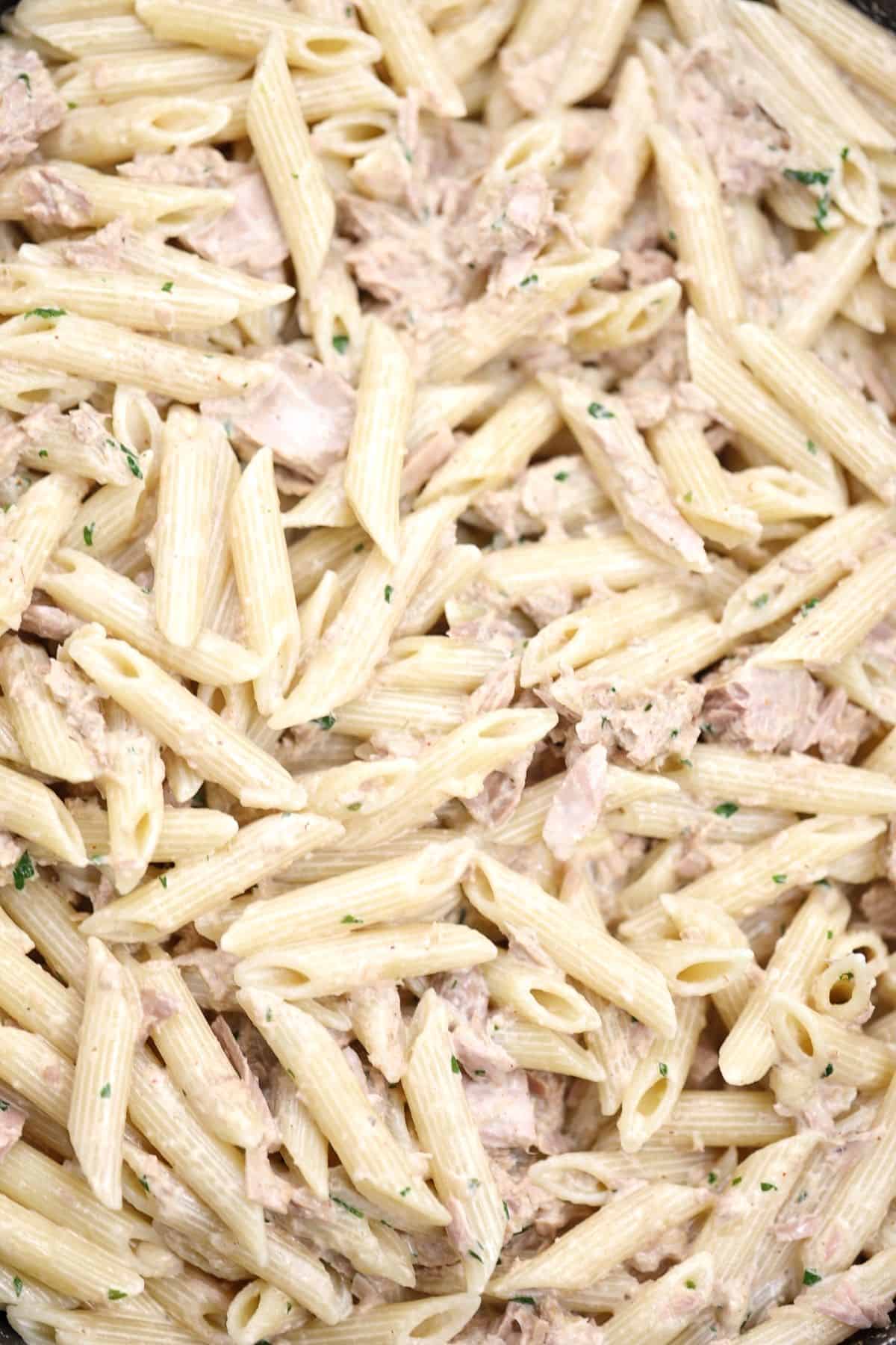 Canned Tuna Pasta Recipe - Recipe Vibes