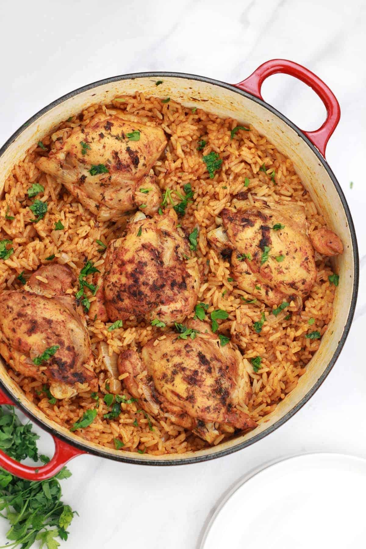 rice and chicken garnished with parsley.