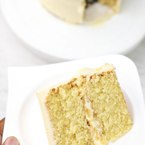 vanilla sponge cake displayed.